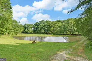 1320 Burroughs Rd, Lavonia, GA 30553 - Photo 36