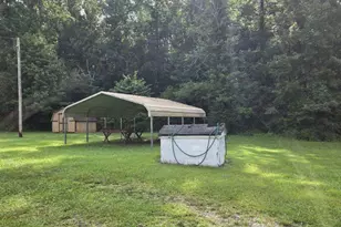 323 Hollonville Rd, Brooks, GA 30205 - Photo 6