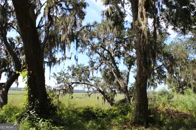 353 Main Street, Midway, GA 31320 - Photo 2