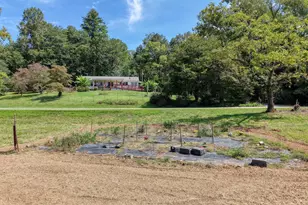 729 Collins Rd, Blairsville, GA 30512 - Photo 16