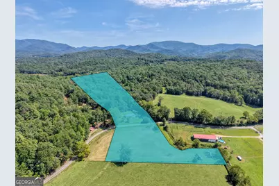 729 Collins Road, Blairsville, GA 30512 - Photo 6