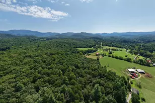 729 Collins Rd, Blairsville, GA 30512 - Photo 66