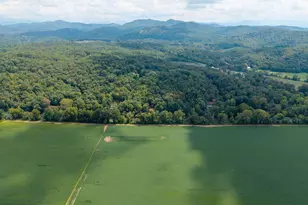 270 Hiawassee River Rd, Brasstown, NC 28902 - Photo 44