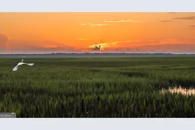 703 Wahoo Court, Saint Marys, GA 31558 - Photo 10