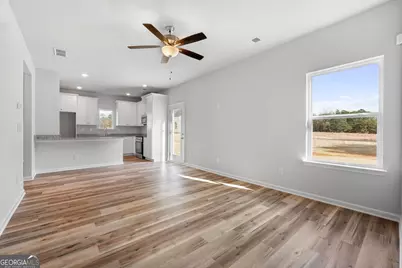 125 Patterson Drive, Franklin, GA 30217 - Photo 22