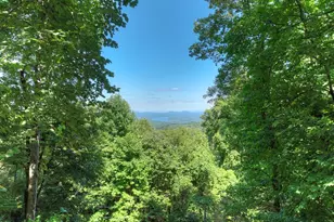 304 Ridge Cir, Blue Ridge, GA 30513 - Photo 48