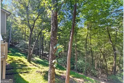 133 Cliff Fern Point, Big Canoe, GA 30143 - Photo 42