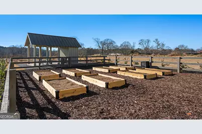 41 Hydrangea Lane #73, Auburn, GA 30011 - Photo 16