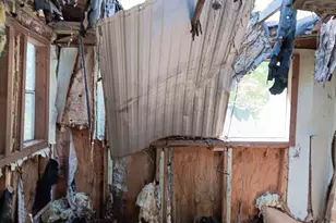 4377 Rock Mills Rd, Franklin, GA 30217 - Photo 22