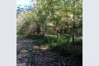 4377 Rock Mills Road, Franklin, GA 30217 - Photo 6