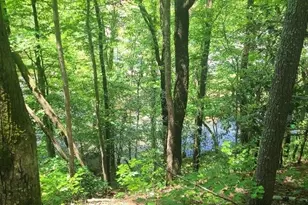 0 Ber Weg, Helen, GA 30545 - Photo 1