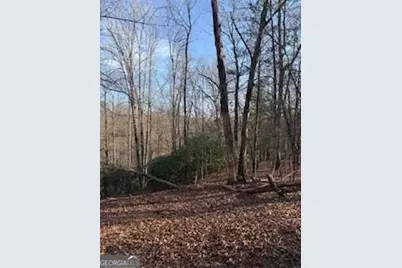 166 N Laceola Road, Cleveland, GA 30528 - Photo 12