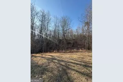 166 N Laceola Road, Cleveland, GA 30528 - Photo 20