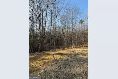 166 N Laceola Road, Cleveland, GA 30528 - Photo 18