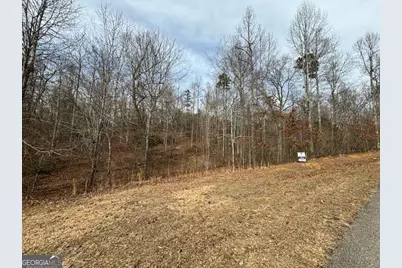 166 N Laceola Road, Cleveland, GA 30528 - Photo 8