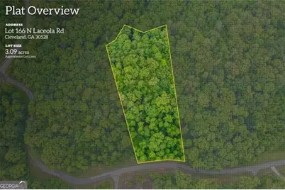 166 N Laceola Road, Cleveland, GA 30528 - Photo 1