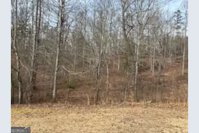 166 N Laceola Road, Cleveland, GA 30528 - Photo 8