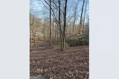 166 N Laceola Road, Cleveland, GA 30528 - Photo 16