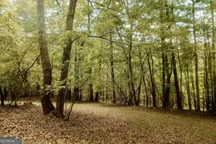 837 River Forest Run, Cleveland, GA 30528 - Photo 28