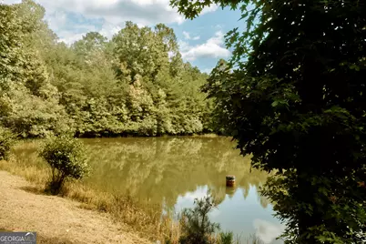837 River Forest Run, Cleveland, GA 30528 - Photo 4