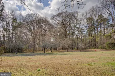 4517 Ga Highway 11 S, Hillsboro, GA 31038 - Photo 40