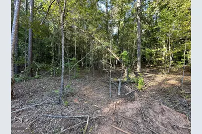 412 Towaliga Trail, Forsyth, GA 31029 - Photo 10