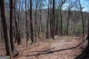 0 Round Top, Clayton, GA 30525 - Photo 1