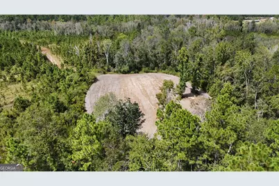 0 Ernest Carter Road, Hazlehurst, GA 31539 - Photo 10