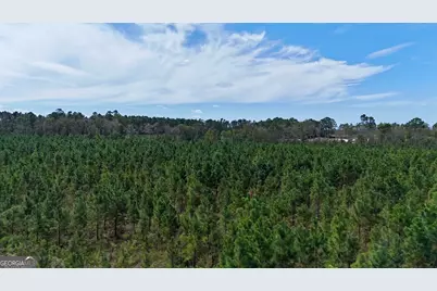 0 Ernest Carter Road, Hazlehurst, GA 31539 - Photo 2