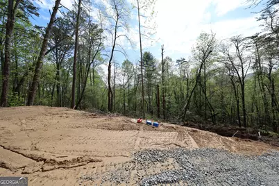 0 John Beck Dockins, Rabun Gap, GA 30568 - Photo 4