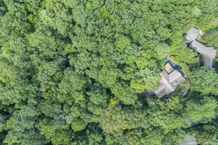 388 Alex Mountain Dr, Sky Valley, GA 30537 - Photo 46