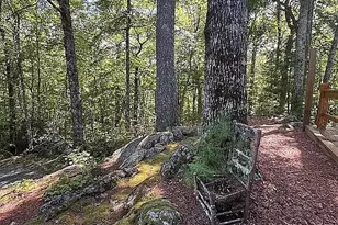 388 Alex Mountain Dr, Sky Valley, GA 30537 - Photo 56