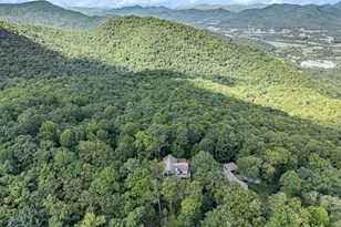 388 Alex Mountain Dr, Sky Valley, GA 30537 - Photo 48
