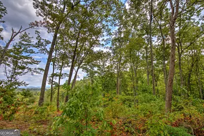 3 White Oak Circle, Blue Ridge, GA 30513 - Photo 8