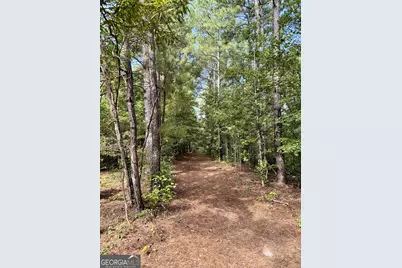 9800 Deepstep Road, Sandersville, GA 31082 - Photo 78