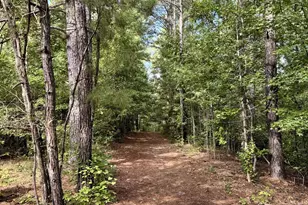 9800 Deepstep Rd, Sandersville, GA 31082 - Photo 78