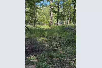 0 Charles Lane, Springfield, GA 31329 - Photo 2