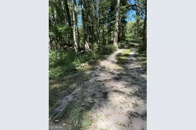 0 Charles Lane, Springfield, GA 31329 - Photo 4
