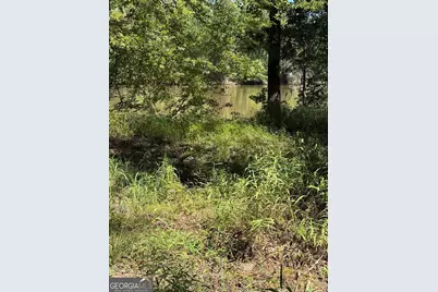 0 Charles Lane, Springfield, GA 31329 - Photo 1