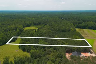0 McBride Rd, Fayetteville, GA 30215 - Photo 10