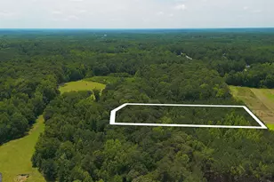 0 McBride Rd, Fayetteville, GA 30215 - Photo 8