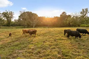 446 Brown Bridge Rd, Chatsworth, GA 30705 - Photo 2