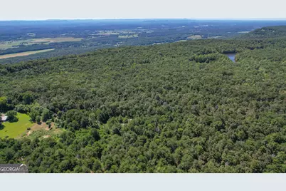 38 +/- Acres On Ga Hwy 157, Menlo, GA 30731 - Photo 24