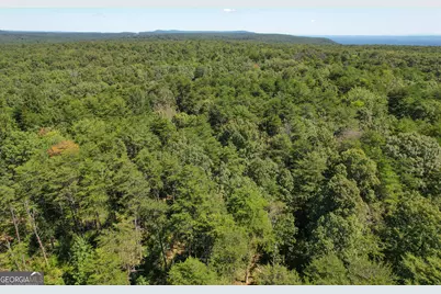 38 +/- Acres On Ga Hwy 157, Menlo, GA 30731 - Photo 18