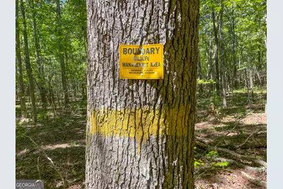 38 +/- Acres On Ga Hwy 157, Menlo, GA 30731 - Photo 10