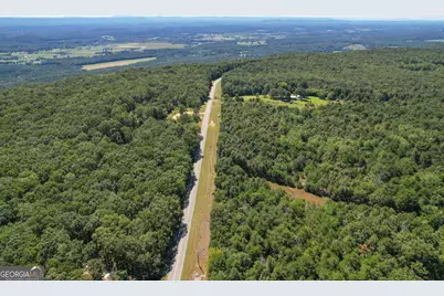 38 +/- Acres On Ga Hwy 157, Menlo, GA 30731 - Photo 8