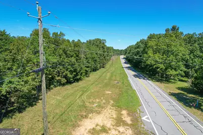 38 +/- Acres On Ga Hwy 157, Menlo, GA 30731 - Photo 4