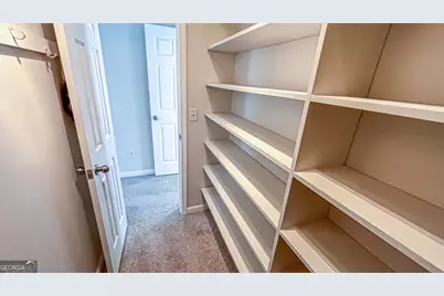 224 Juliet Drive, Hampton, GA 30228 - Photo 72