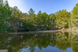 1167 Clopine Lake Rd, Fort Valley, GA 31030 - Photo 80