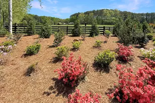 6356 Hwy 191, Comer, GA 30629 - Photo 74